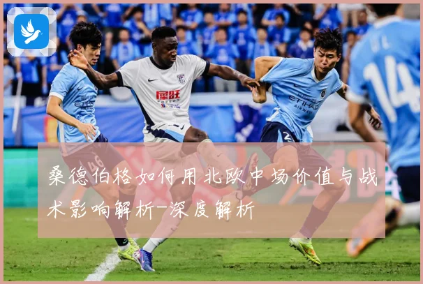 桑德伯格如何用北欧中场价值与战术影响解析-深度解析