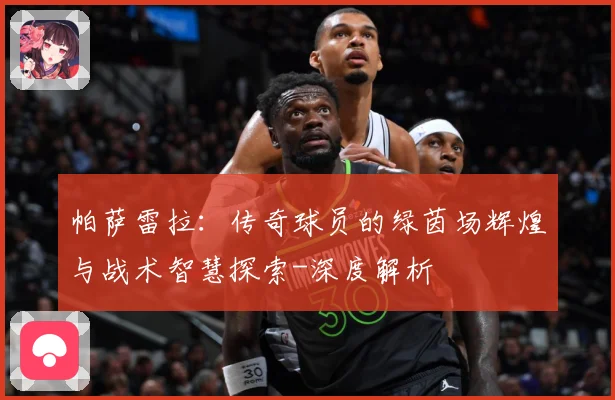 帕萨雷拉：传奇球员的绿茵场辉煌与战术智慧探索-深度解析