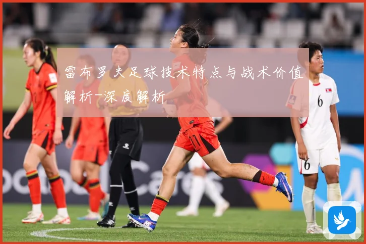 雷布罗夫足球技术特点与战术价值解析-深度解析