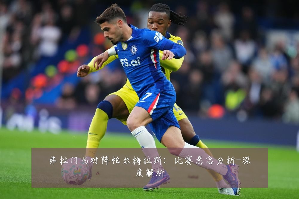 弗拉门戈对阵帕尔梅拉斯：比赛悬念分析-深度解析
